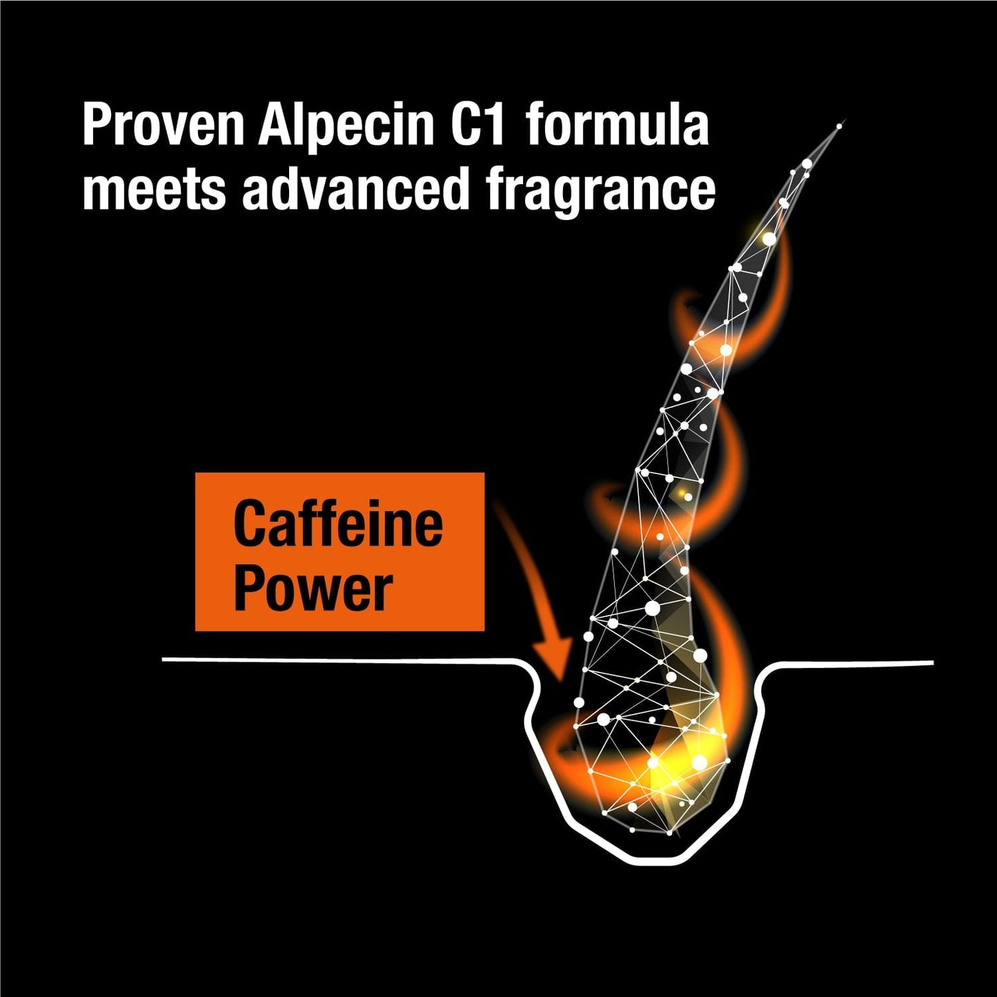 Alpecin Caffeine Shampoo Black Edition